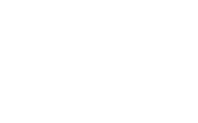 Logo Aliada Nano